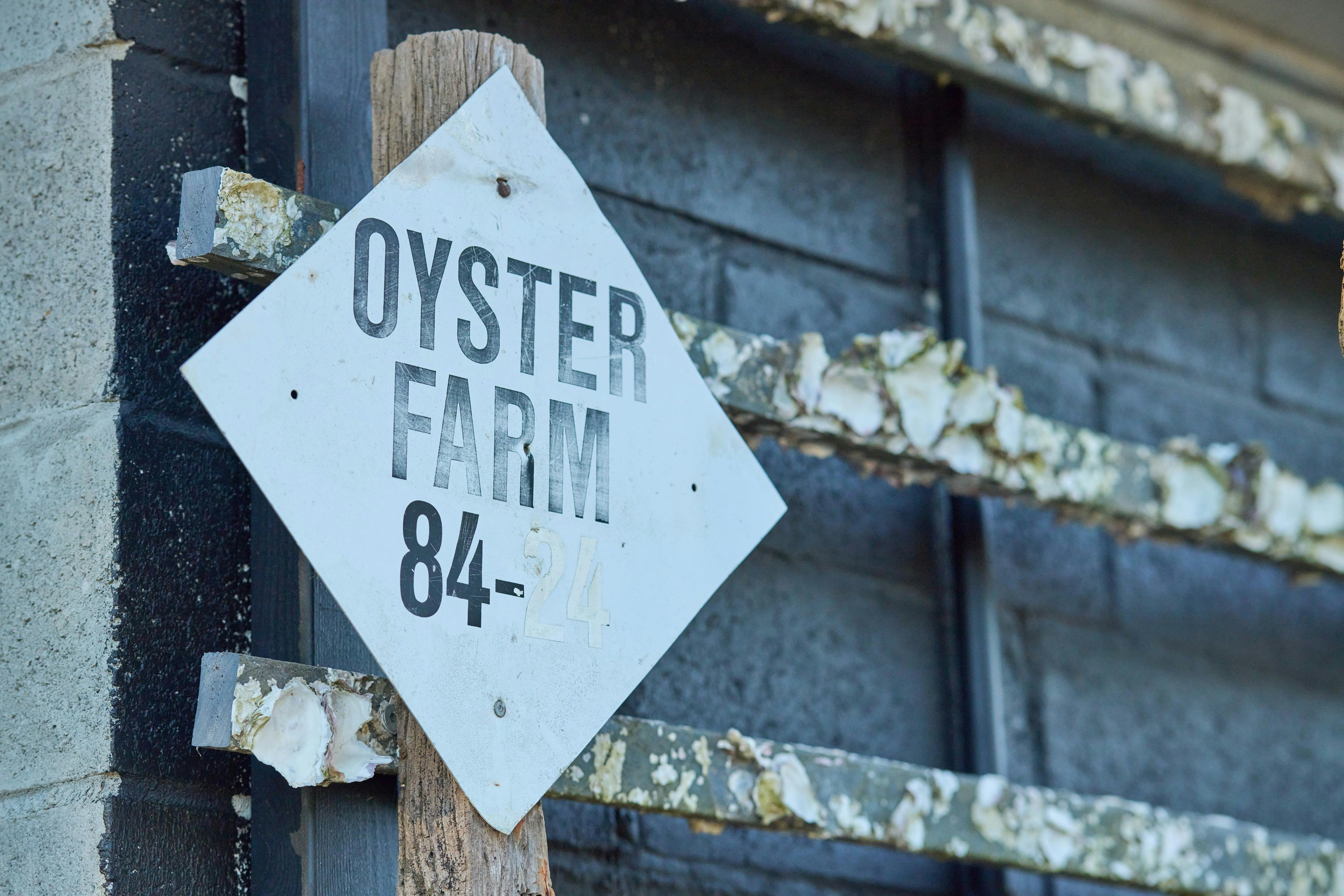 Oyster Farm
