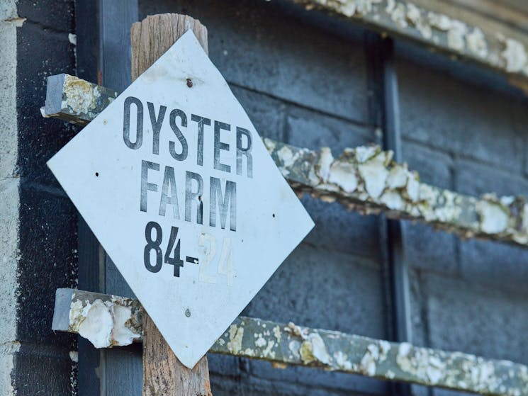 Oyster Farm