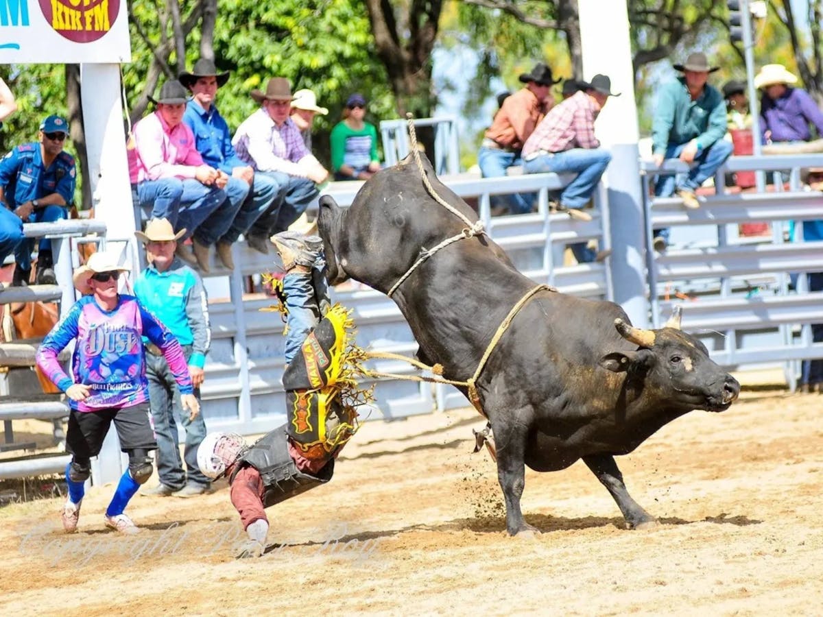 A rider falls from a bull at the Mareeba Rodeo in Mareeba, Far North Queensland.