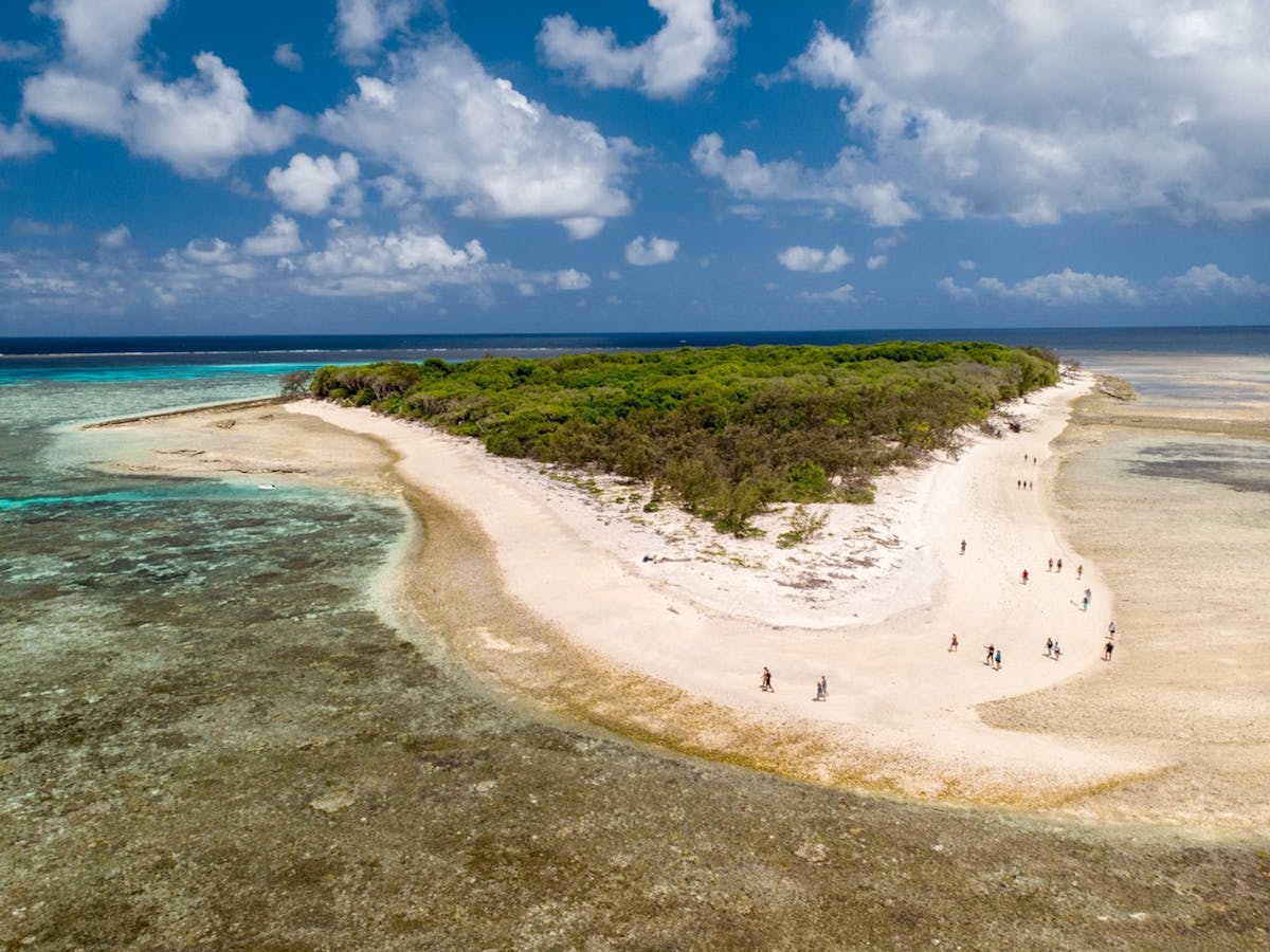 Lady Musgrave Island