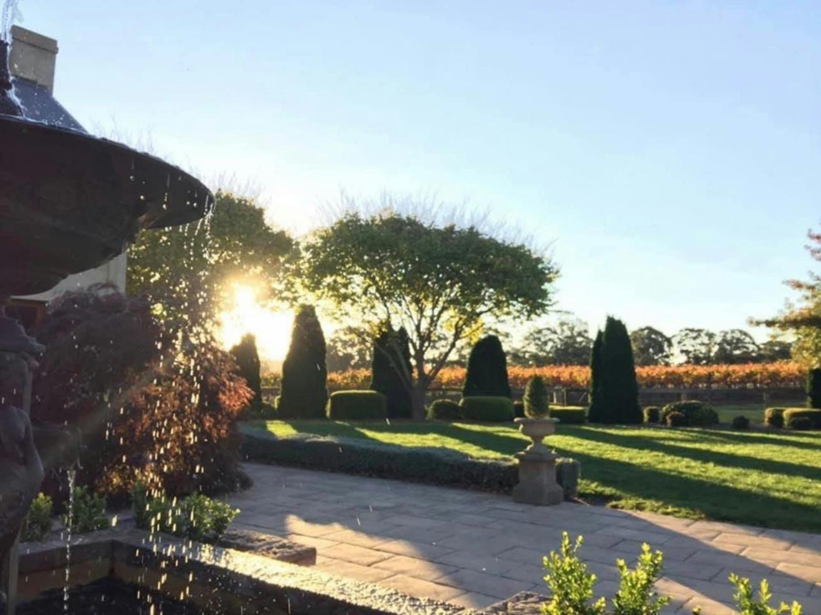 Centennial Vineyards Restaurant 5