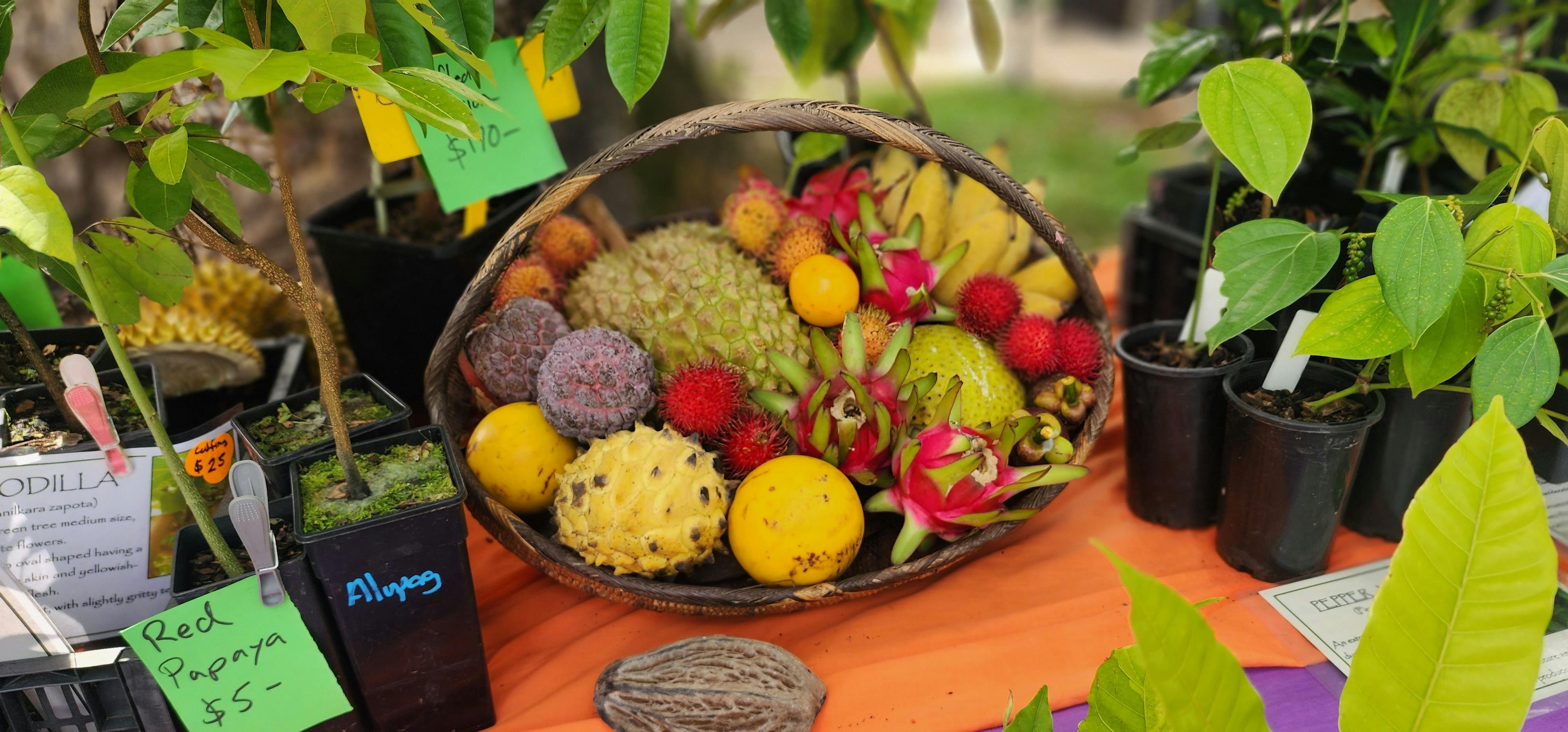 mossman Markets