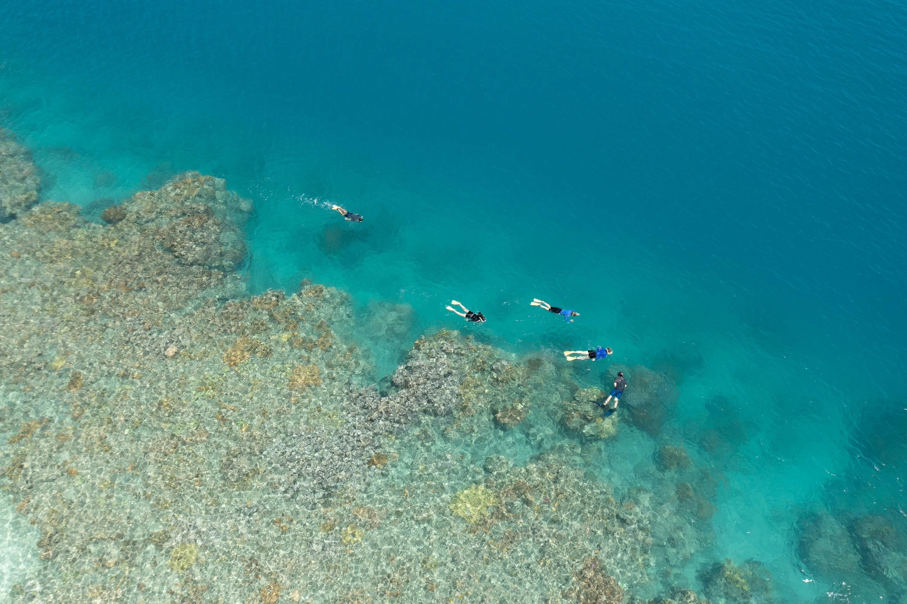 Snorkeling around the Whitsunday Islands