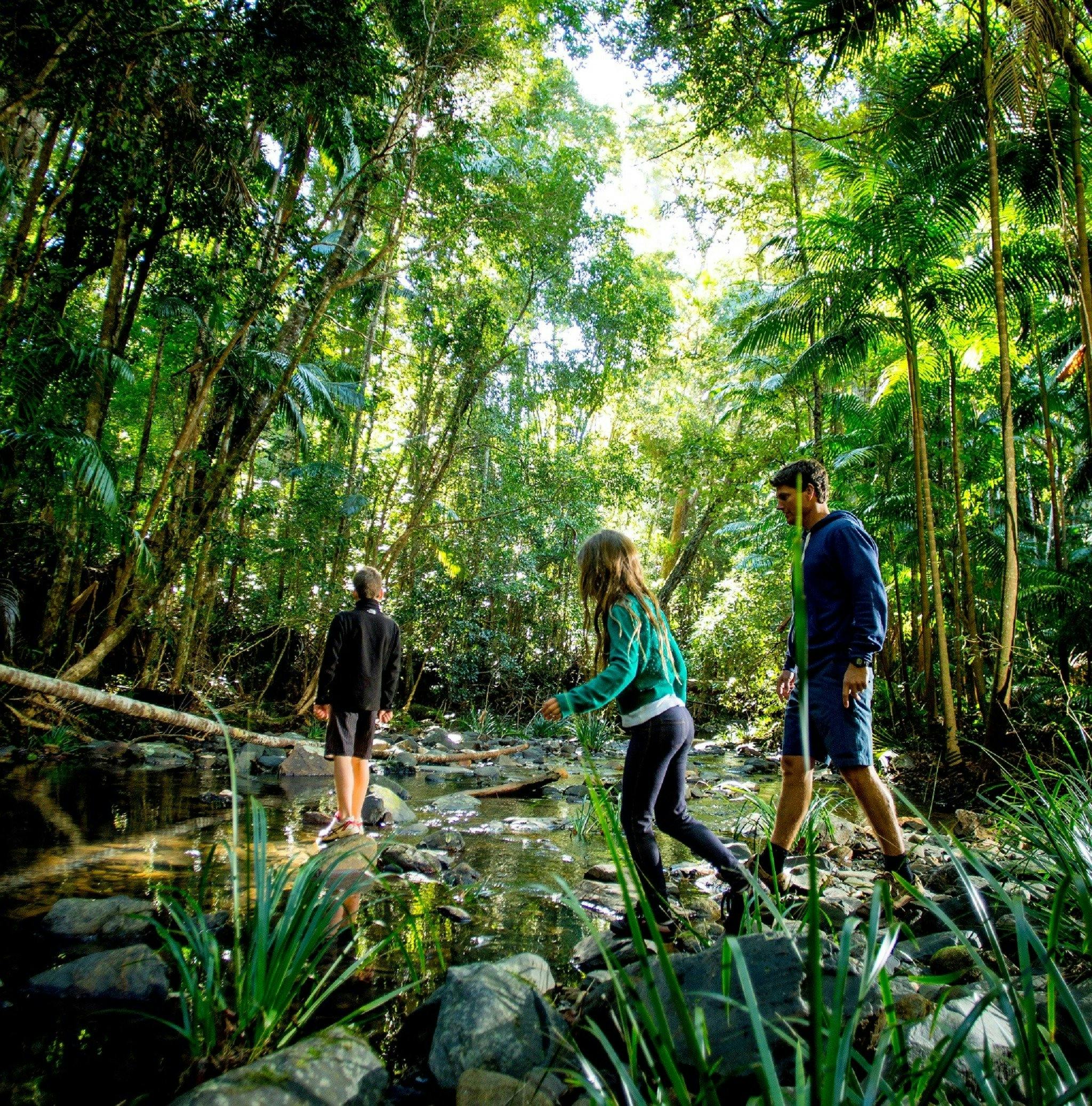 Yarrahapinni National Park_Macleay Valley Coast