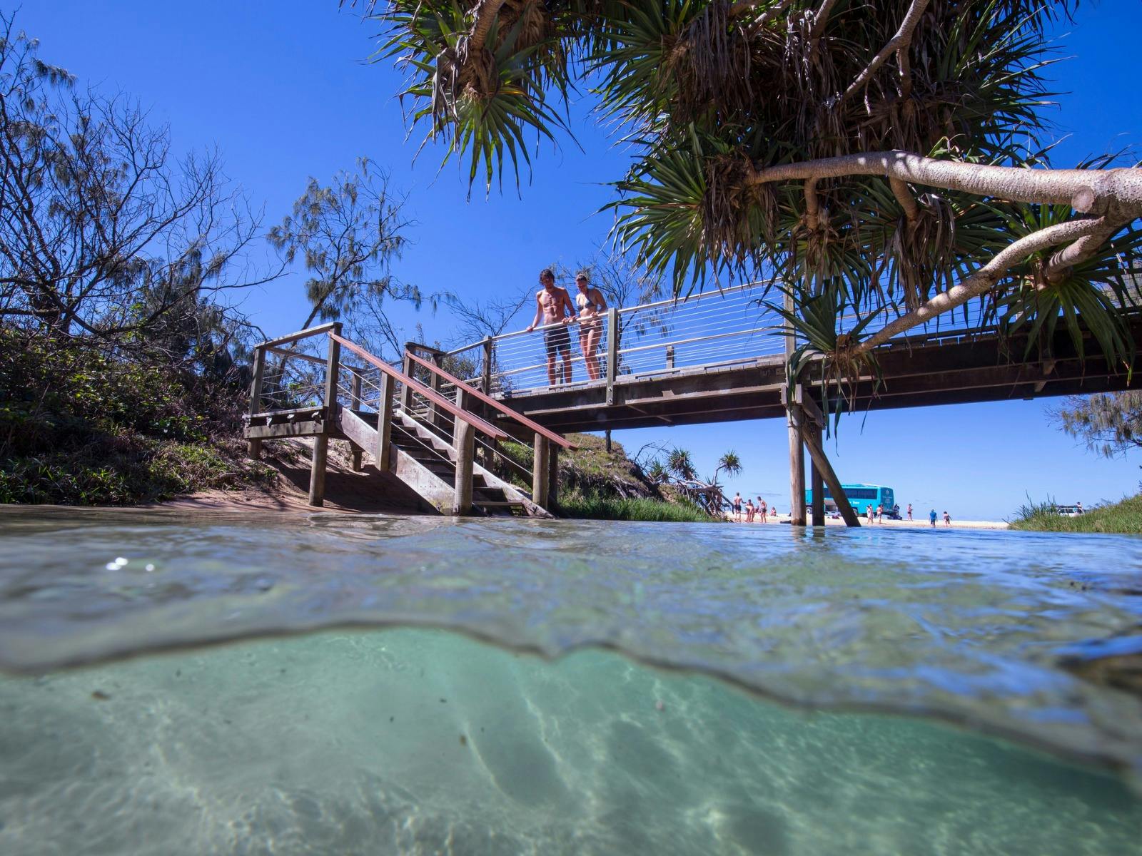 Eli Creek, K'gari (Fraser Island)