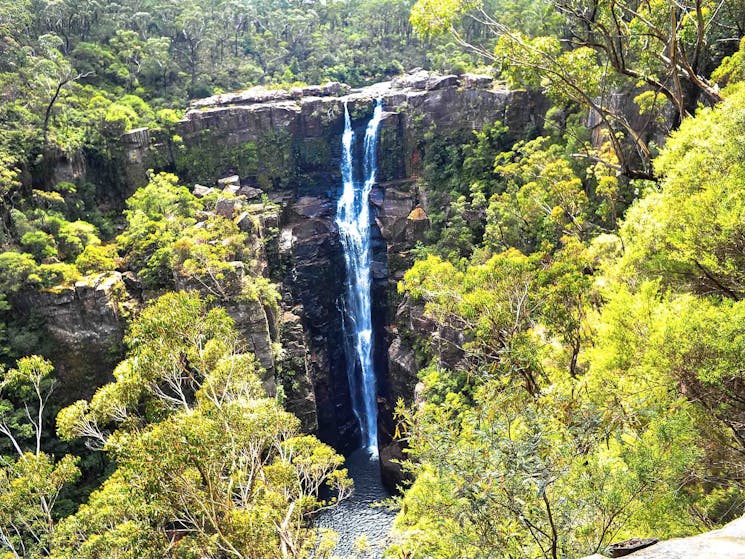 Belmore Falls - Southern Highlands tour