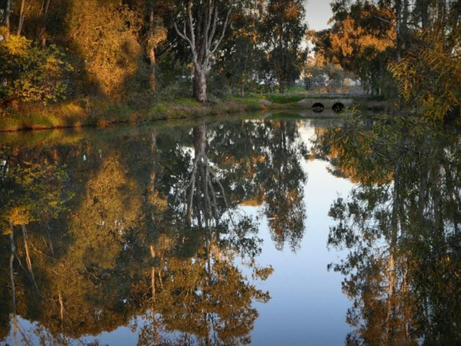 Blake Botanic Reserve reflection on lagoon