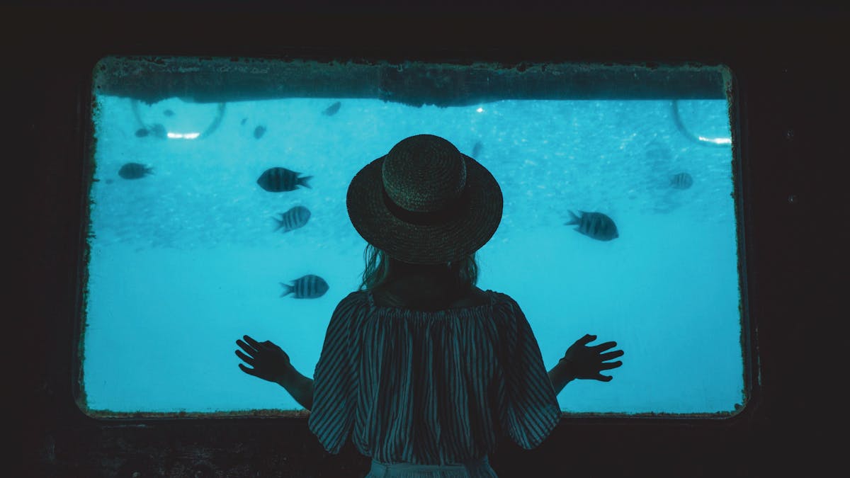 Lady looking at lots of fish through the underwater observatory window