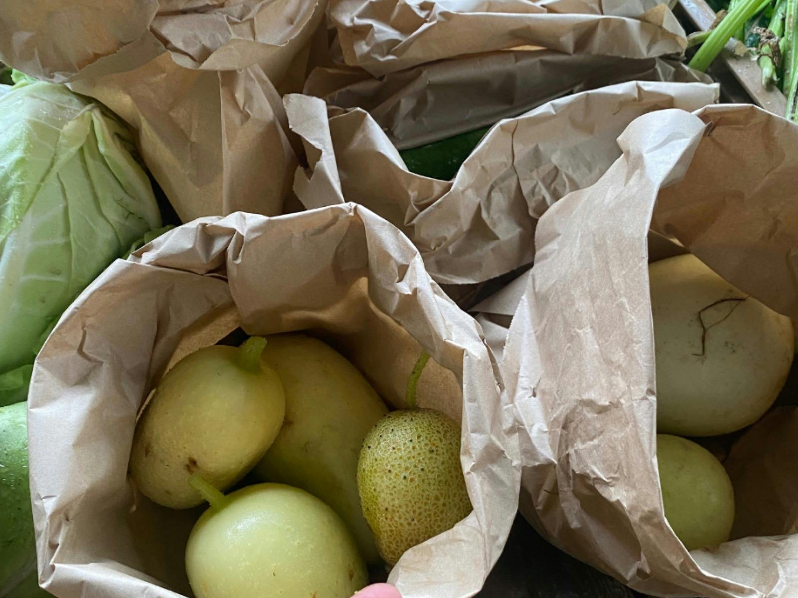 Farmgate Markets at Green Thumb Farm, Samford Valley