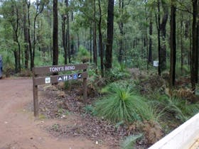 Tonys Bend Campground