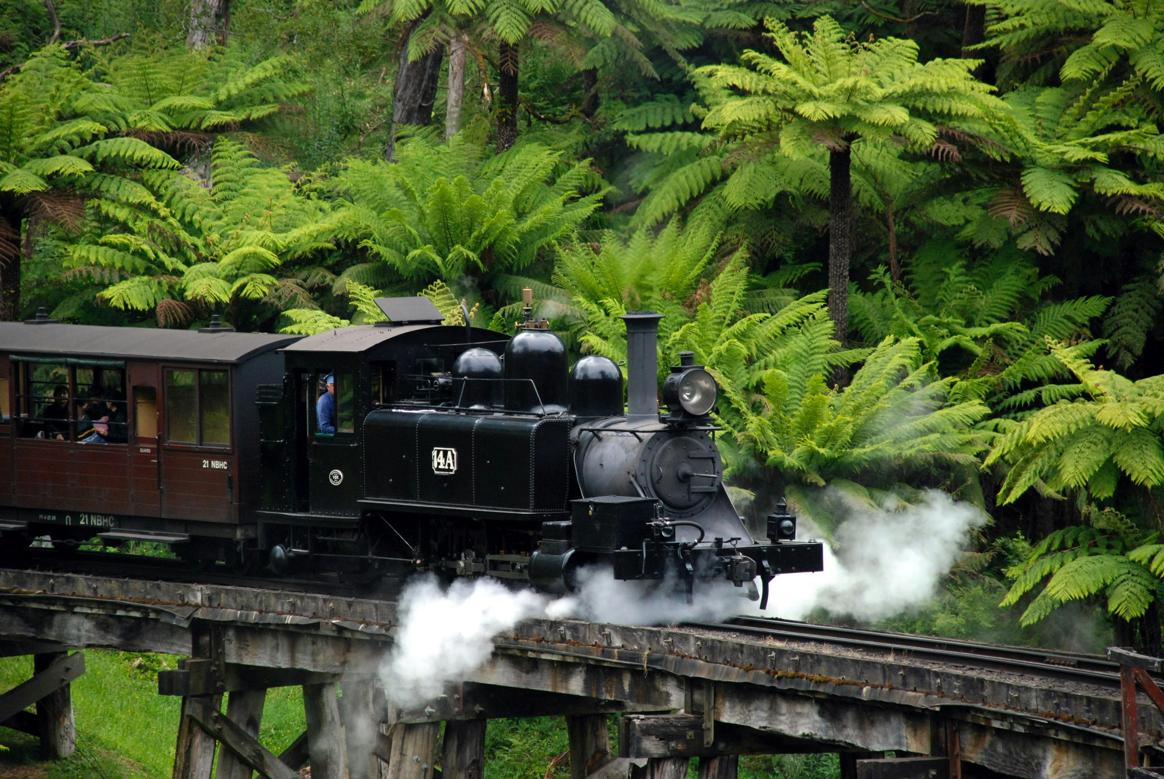 Puffing Billy and Healesville Sanctuary Day Tour