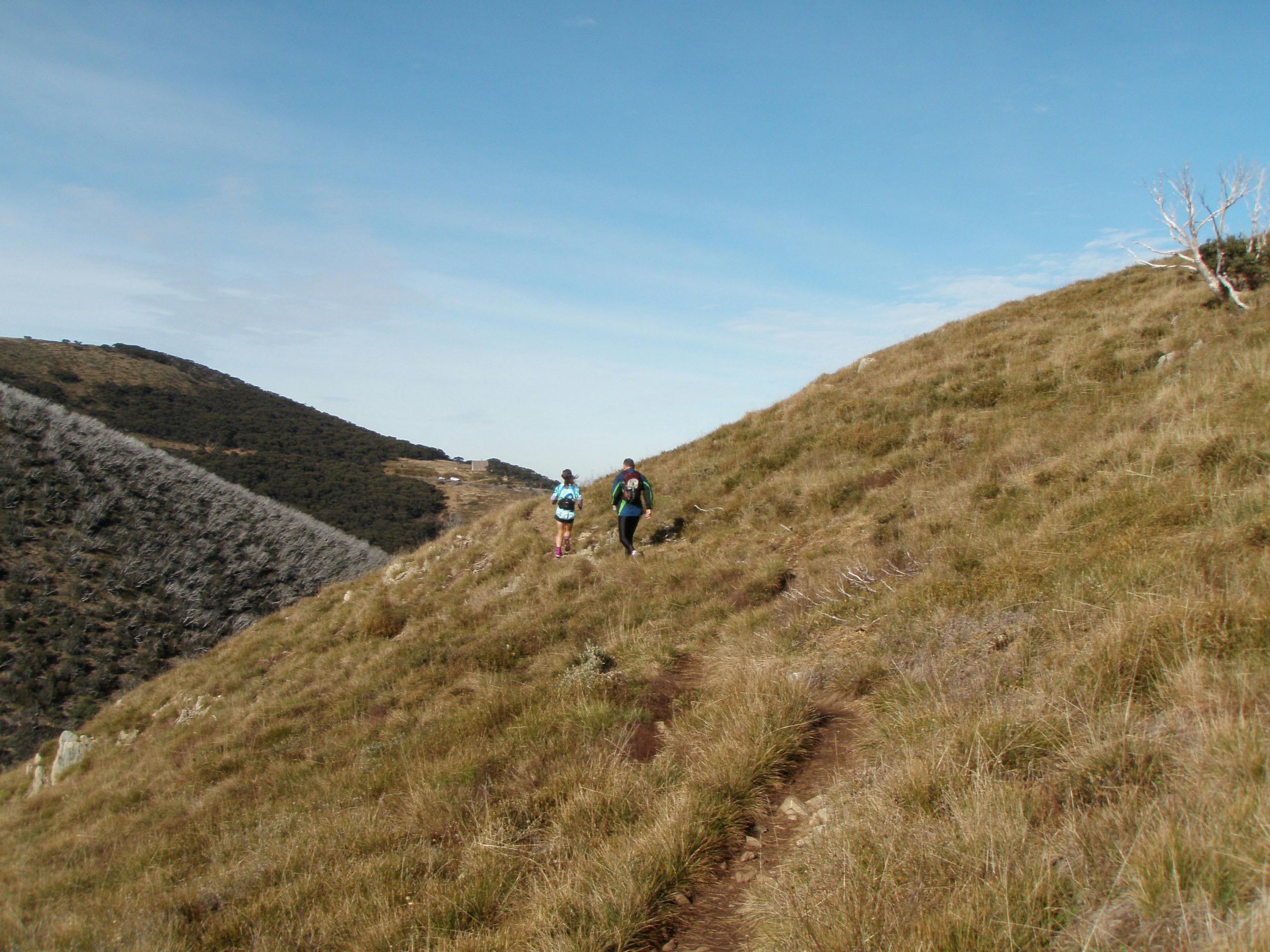 Running the Razorback