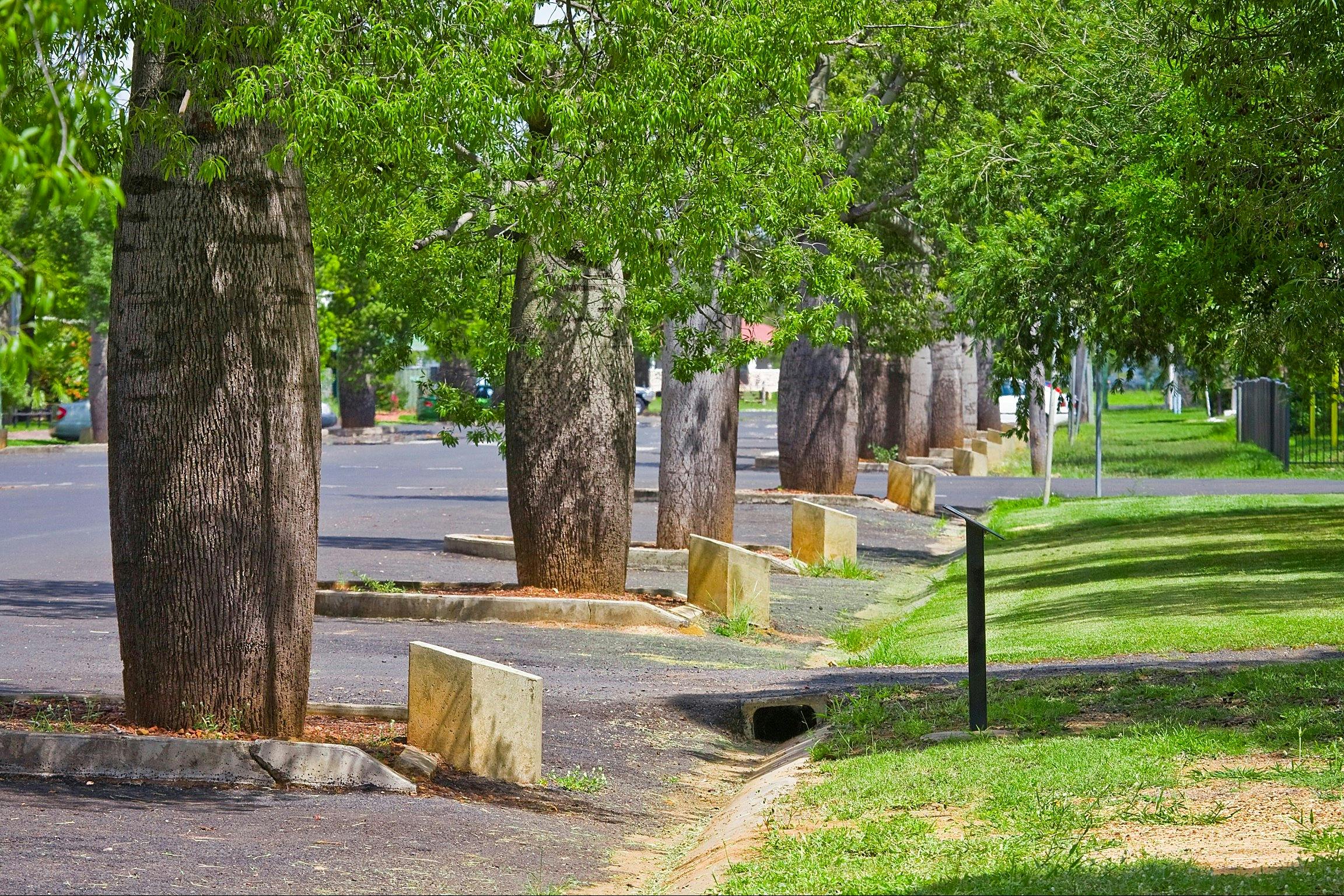 Avenue of Heroes - Roma, QLD