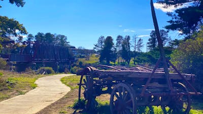 Wollondilly River Walkway - Riversdale