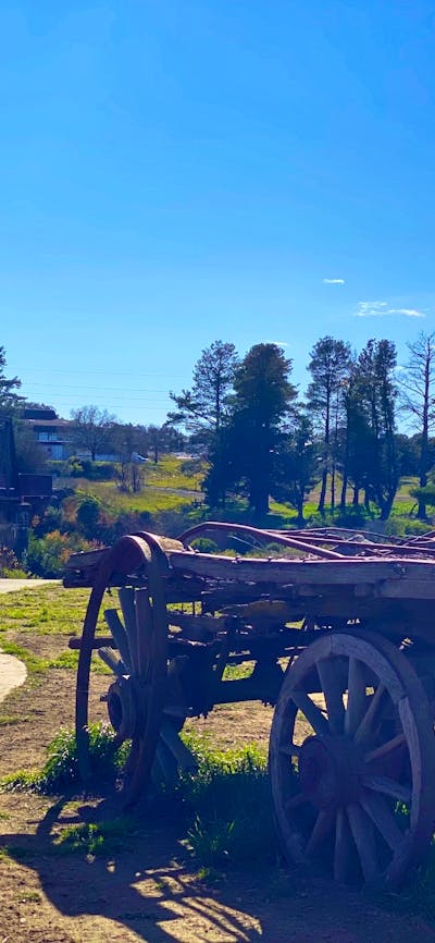 Wollondilly River Walkway - Riversdale