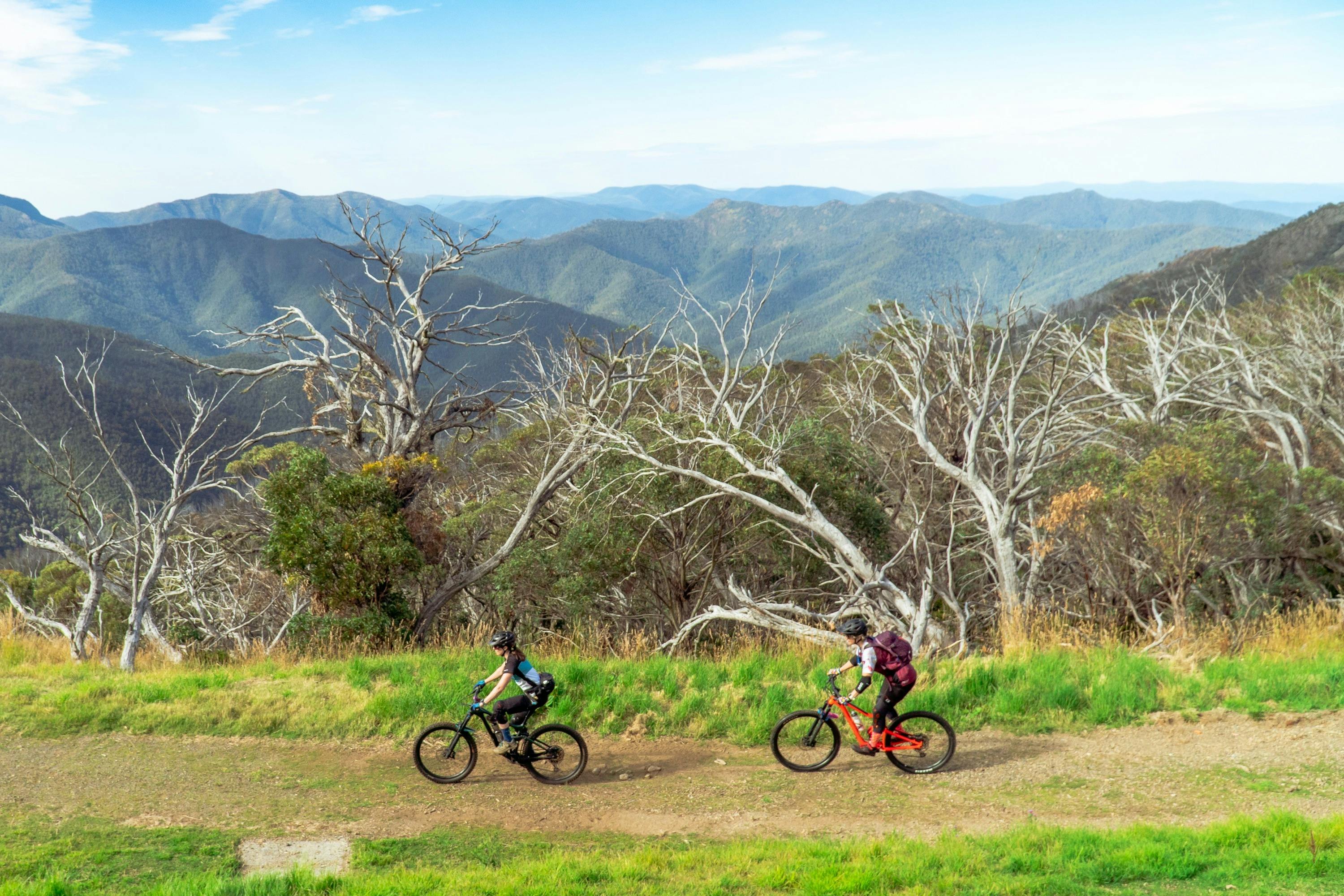 Delatite River Trail Find Your wild