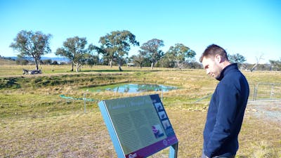 Man reading information panels in grassy area with pond