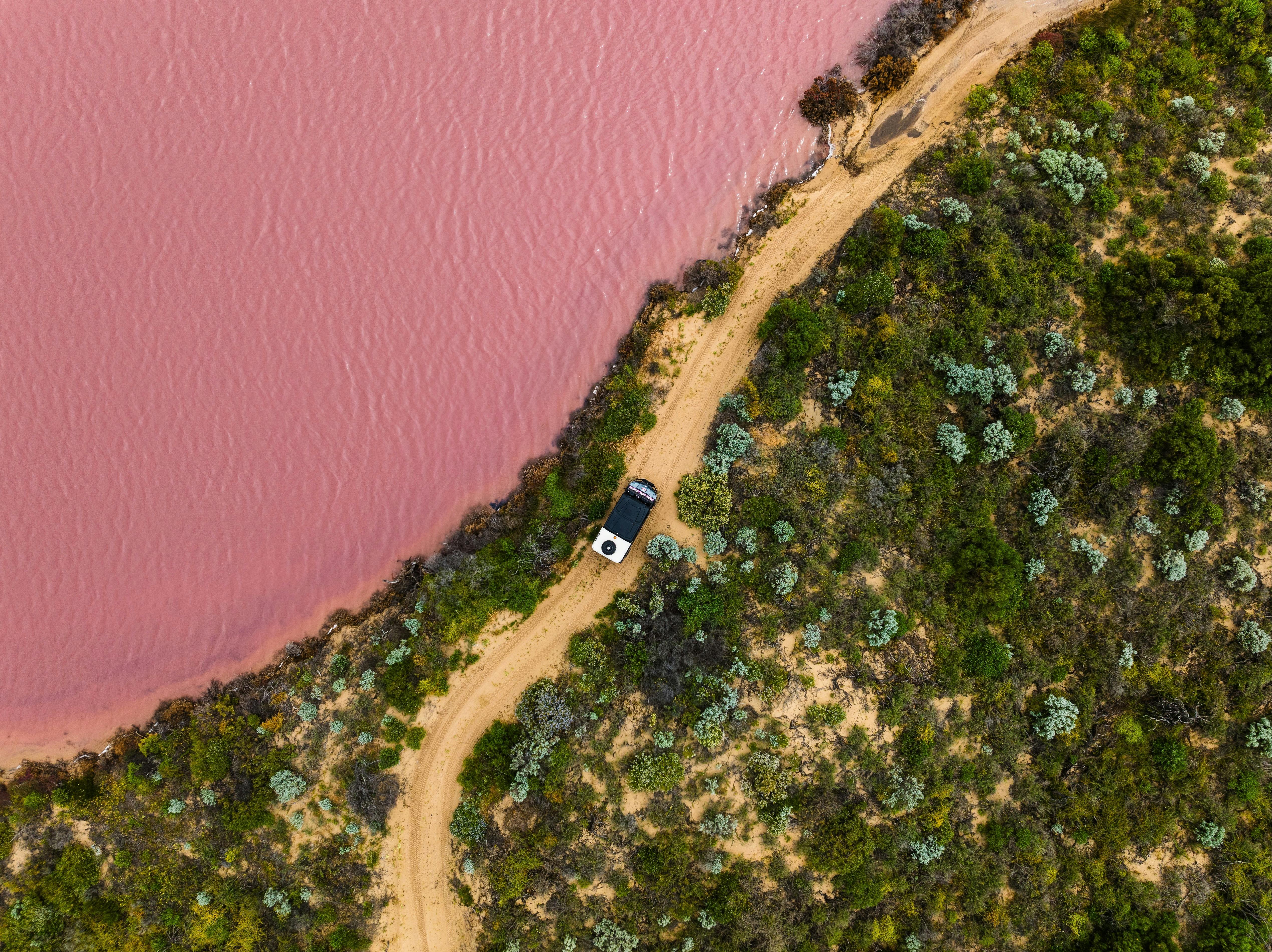 Pink Lake, Hutt Lagoon, Buggy Tour