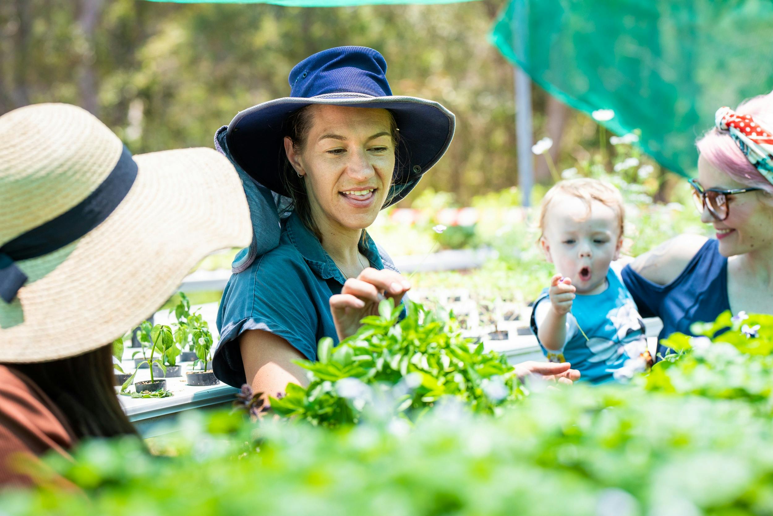 Basilea  Farm Open Day