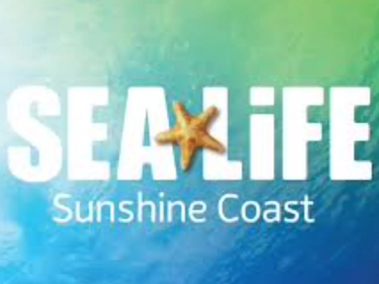 SEA LIFE Aquarium – Family Fun with Ocean Wonders