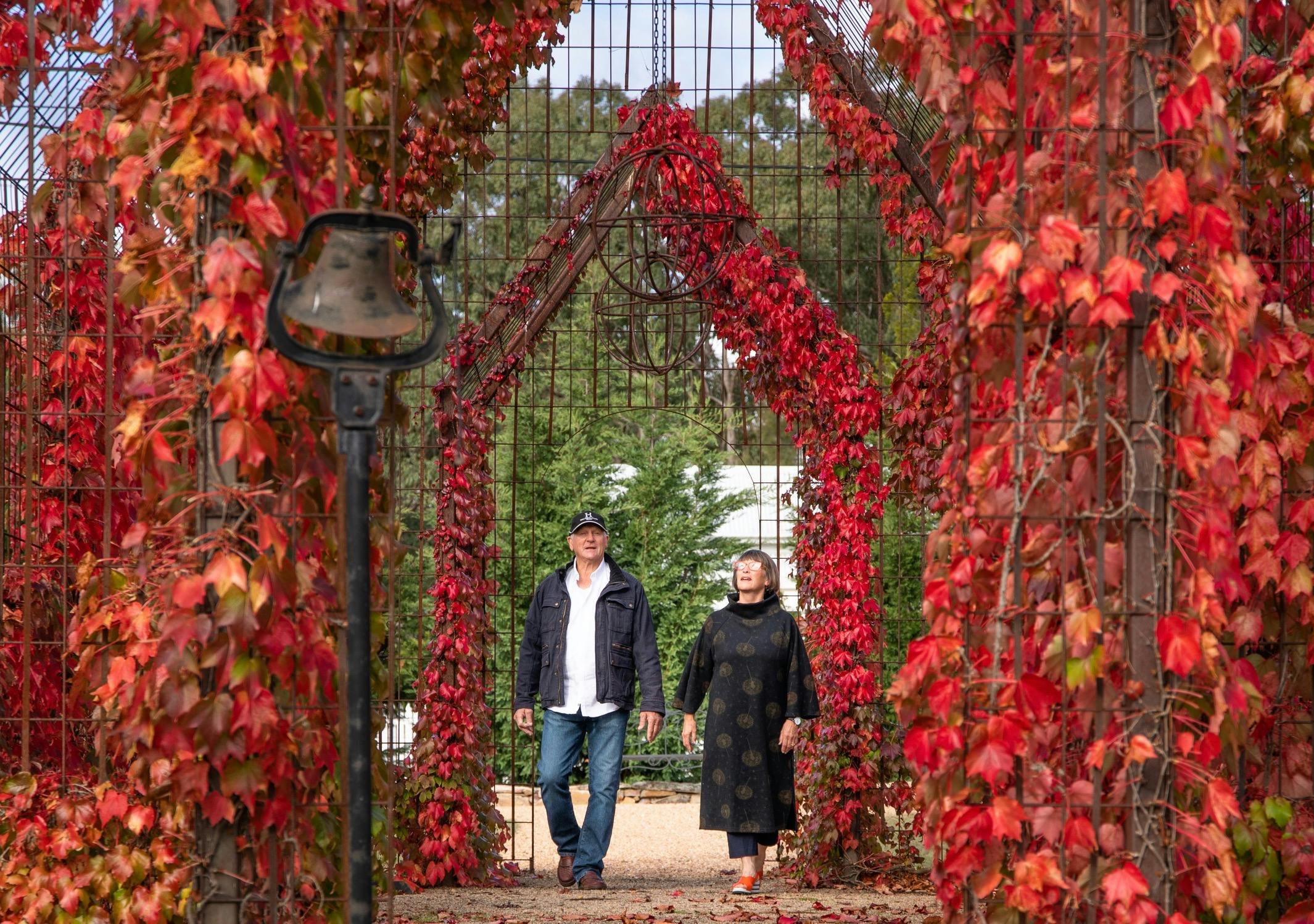 A leisurely stroll through our Ivy Leaf Chapel entwined in Boston Ivy