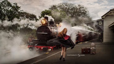 Wizard Express - Mary Valley Rattler