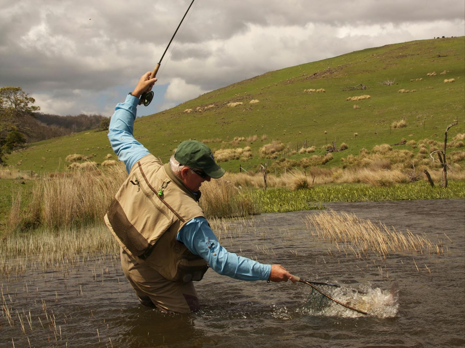 Wild, plentiful and happy fish