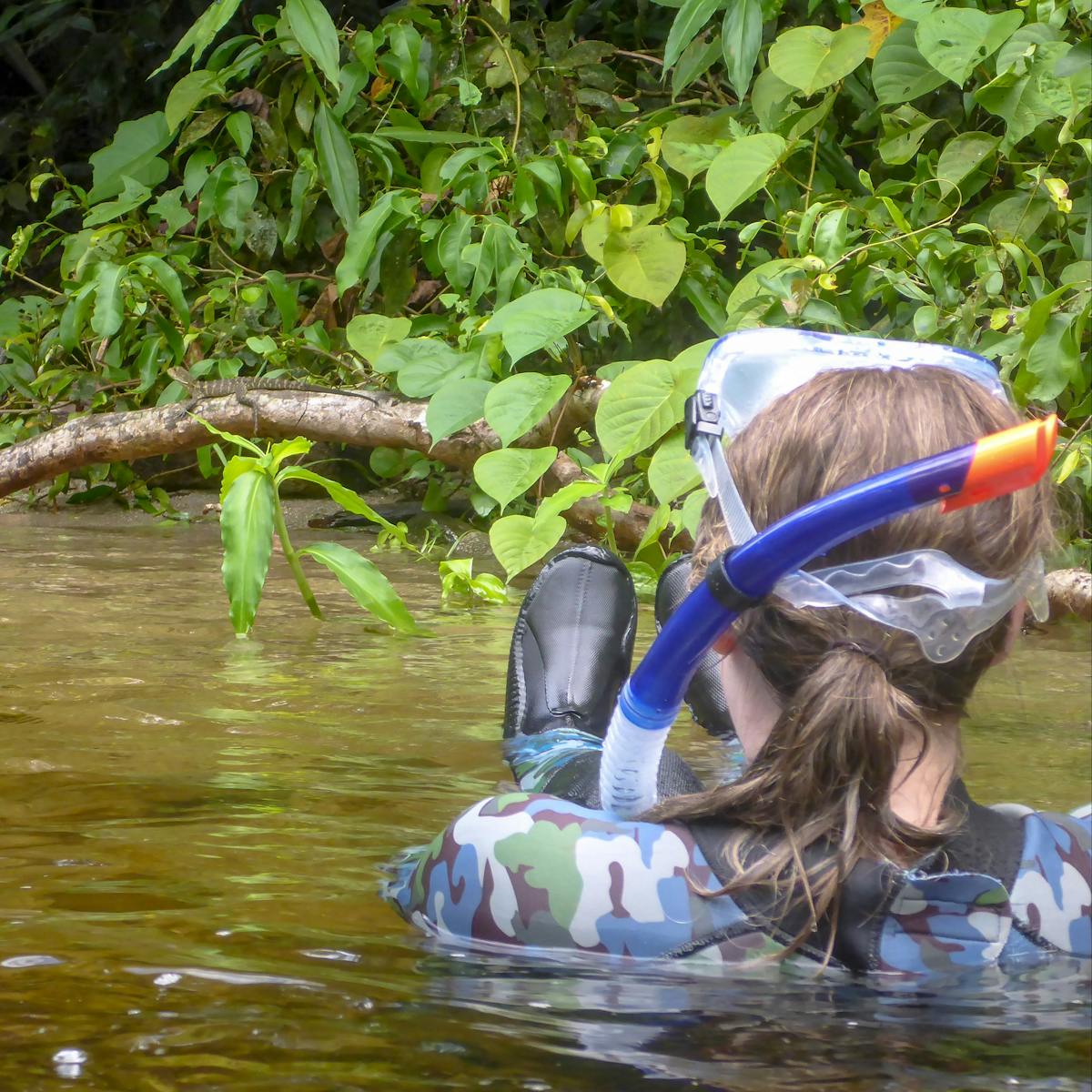 Watching a Water Dragon during the Snorkelling Tour
