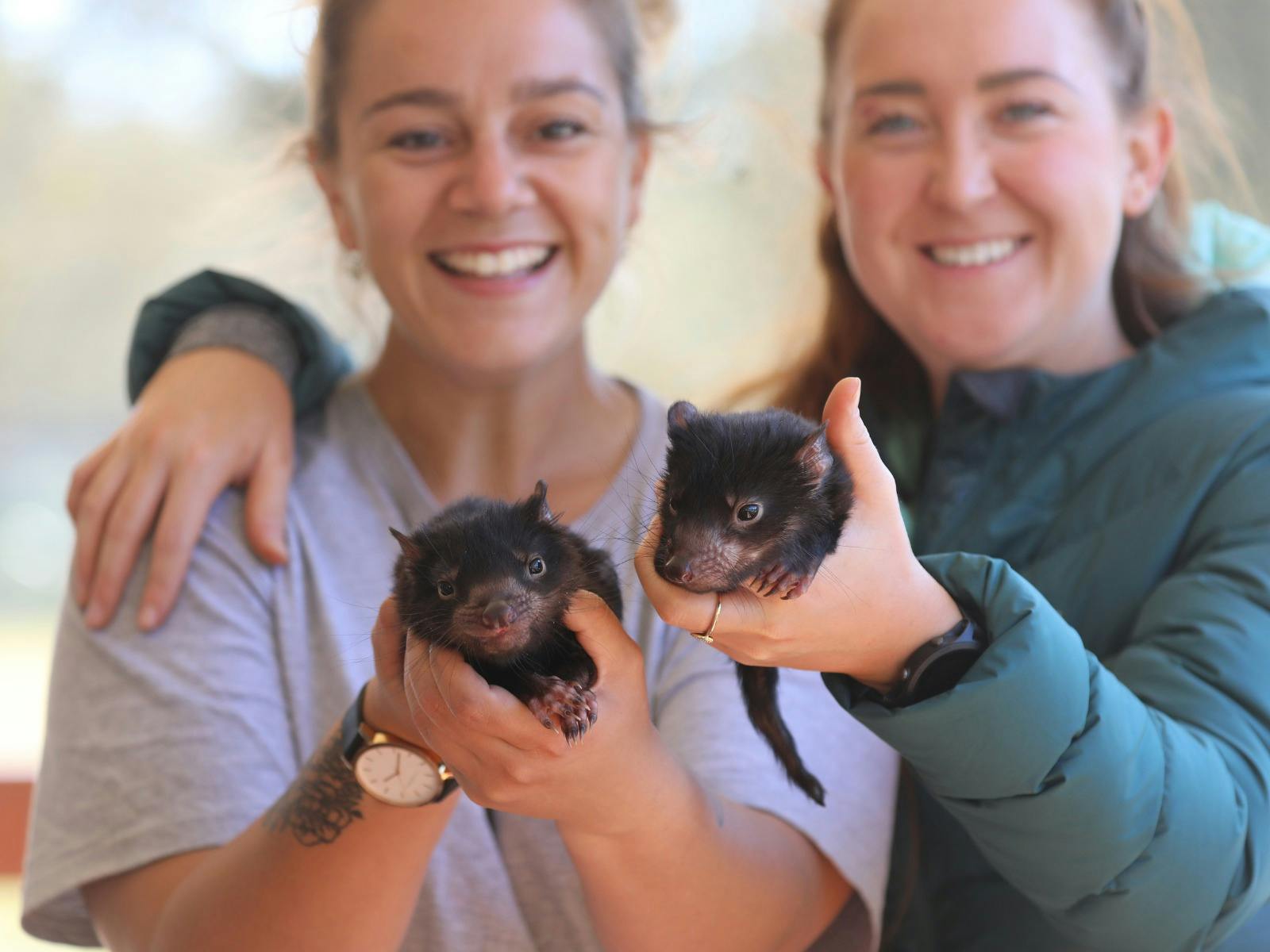 Two women holding a Devil joey each in their hand