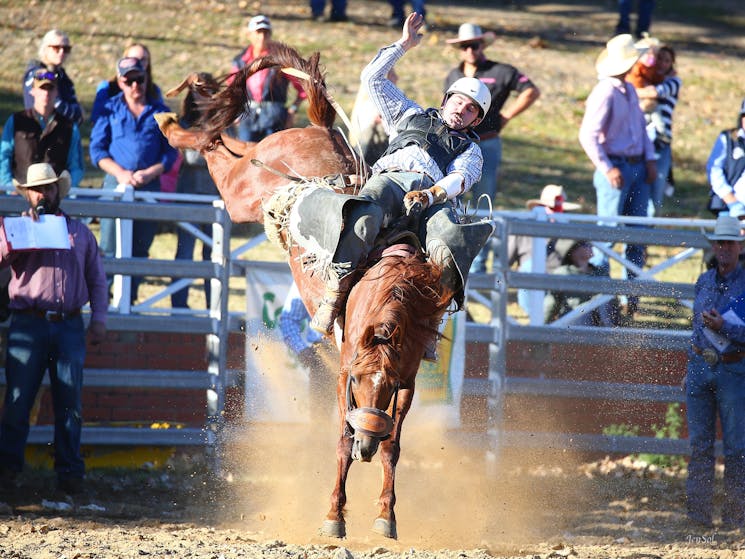Plenty of action at the Agriwest Cooma Rodeo