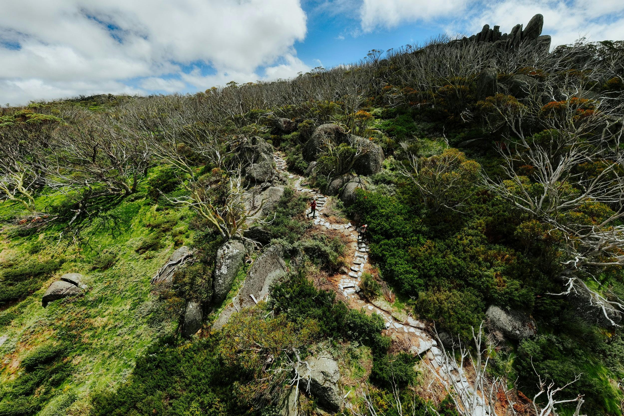 Perisher Valley to Bullocks Flat walk