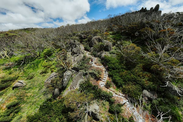 Perisher Valley to Bullocks Flat walk
