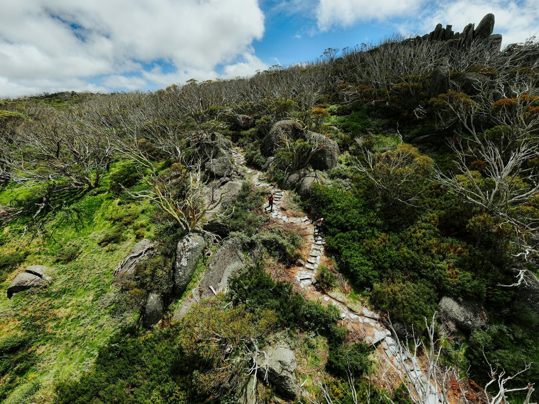 Two hikers on a winding trail of stepping stones in Kosciuszko National Park.