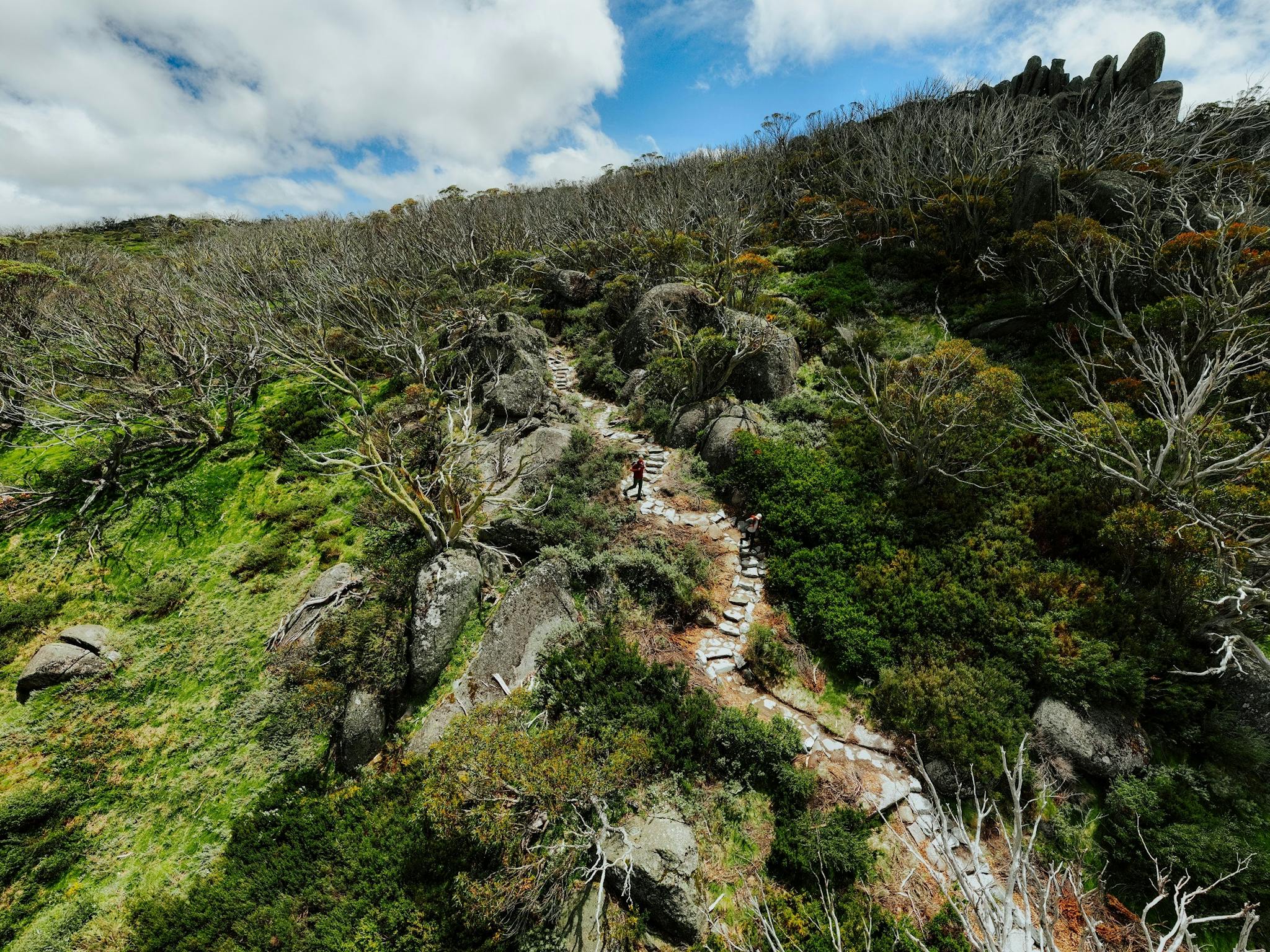 Two hikers on a winding trail of stepping stones in Kosciuszko National Park.