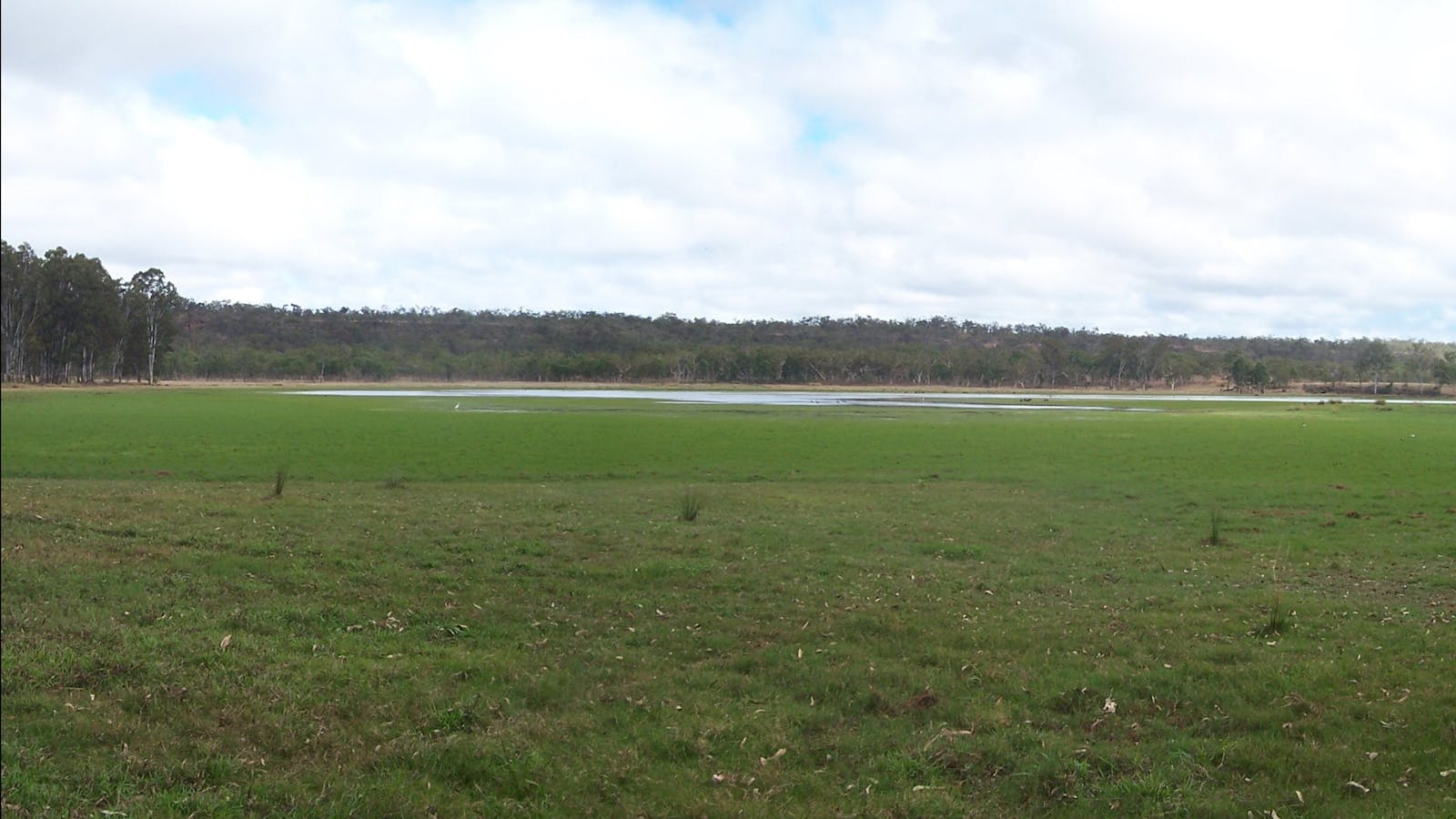 Wairuna, Girringun National Park