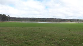Wairuna, Girringun National Park