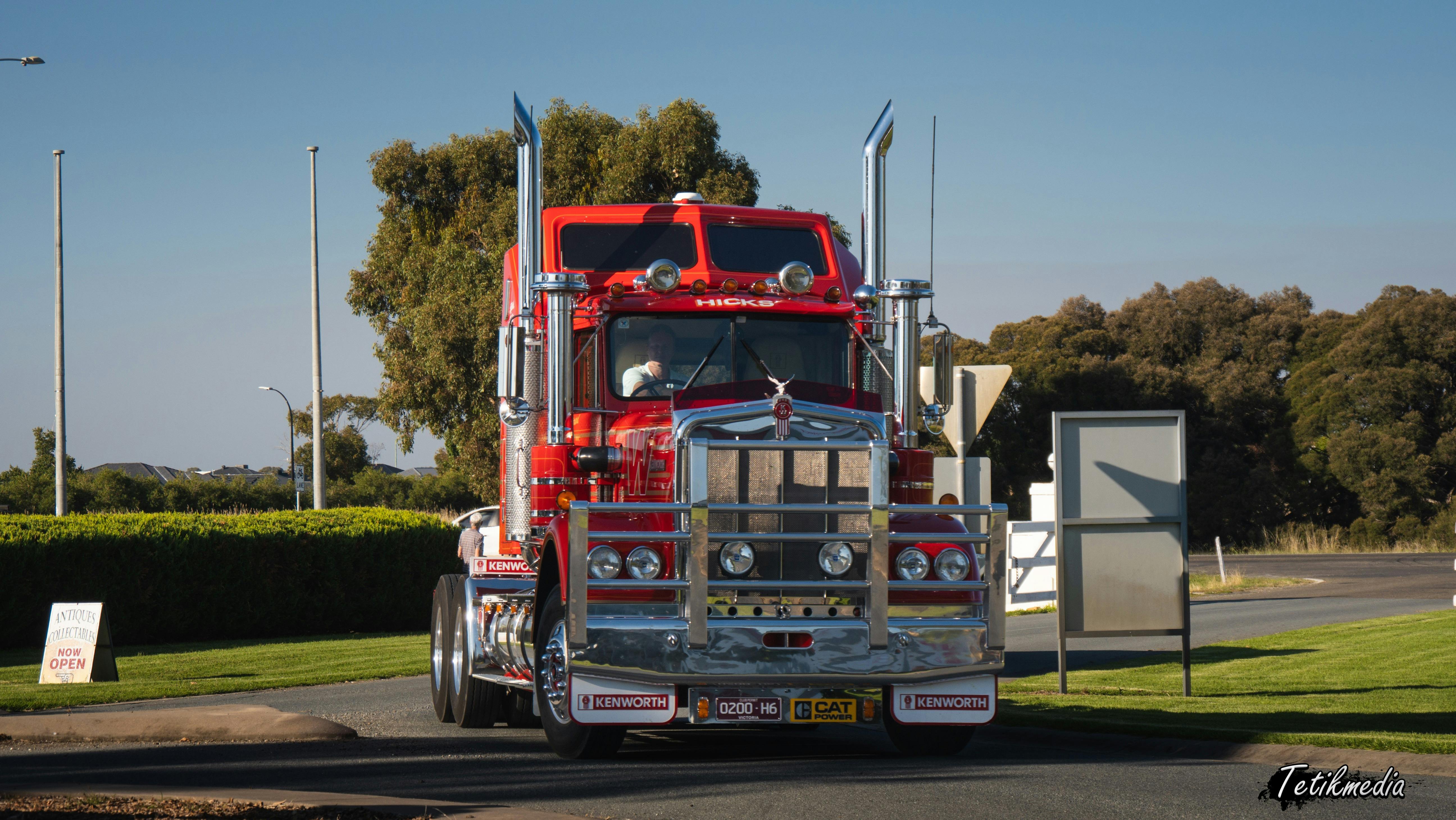 Trucks Cars Buses - You name it