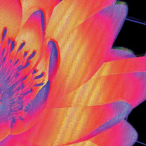 NoiseNature Remixed Remastered
