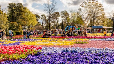 Floriade garden bed with ferris wheel