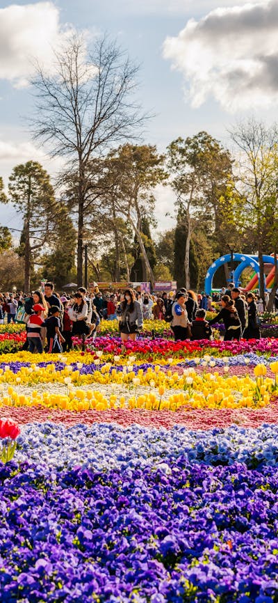 Floriade garden bed with ferris wheel