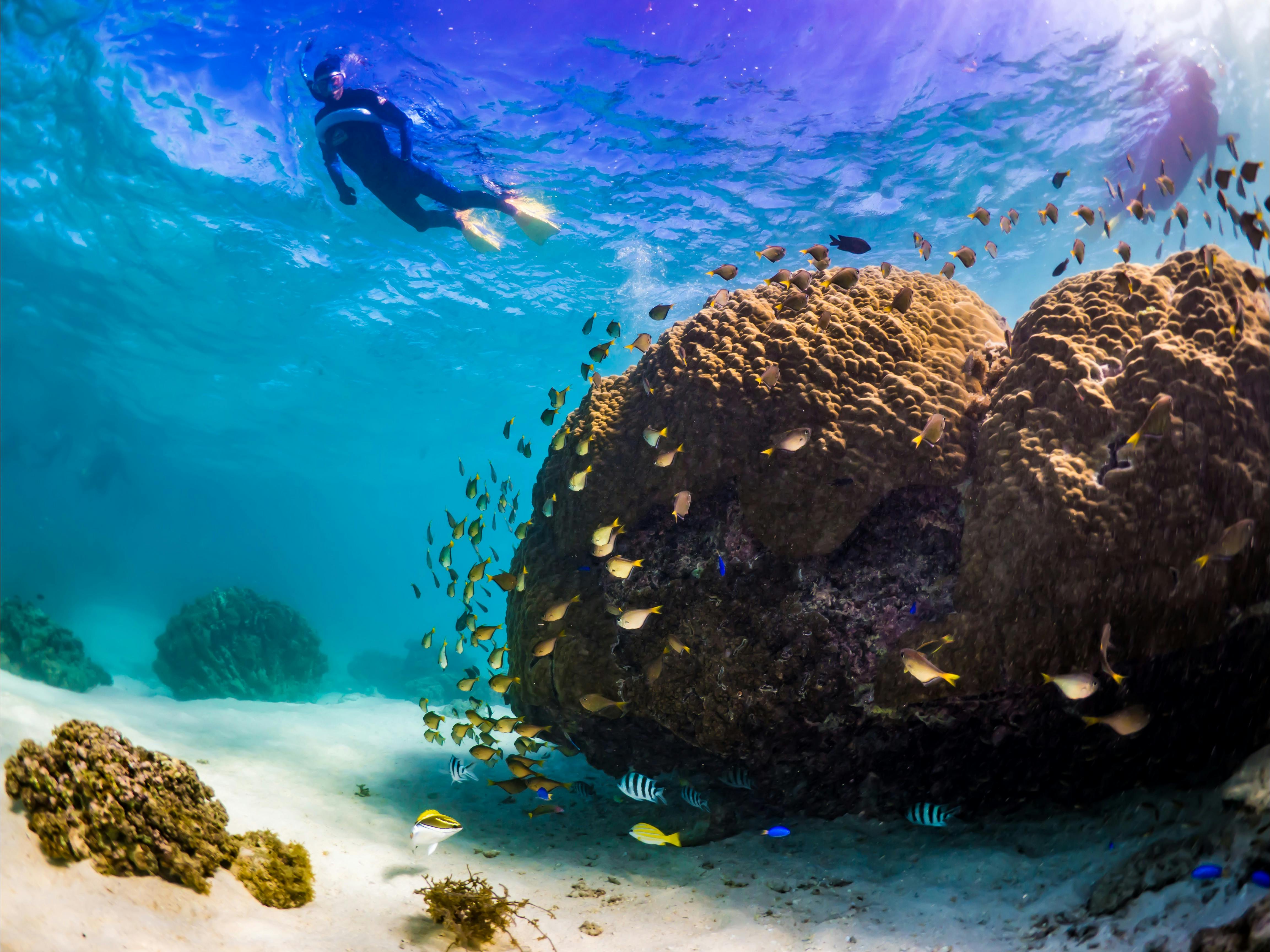 Ocean Eco Adventures, Exmouth, Western Austalia