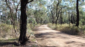 Honeyeater Cycle Route