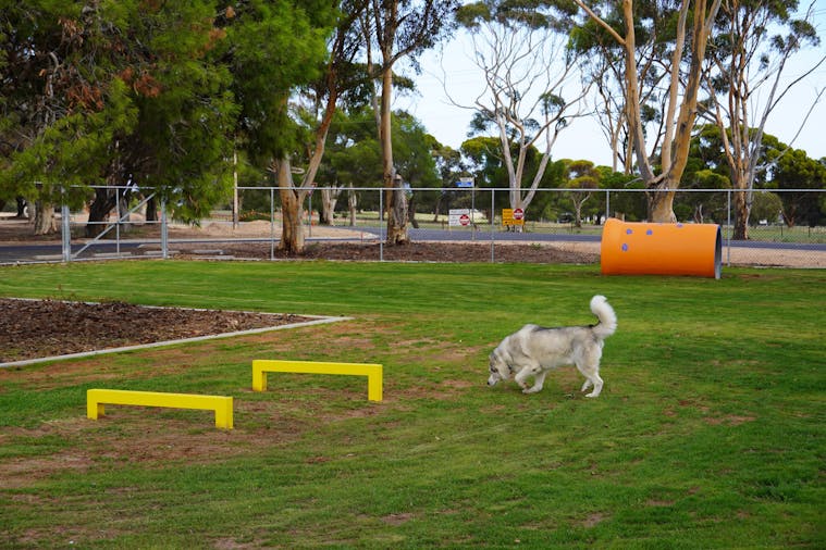 Dog Park Moonta