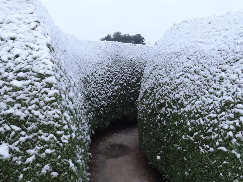 Image for Winter School Holidays at Maze House