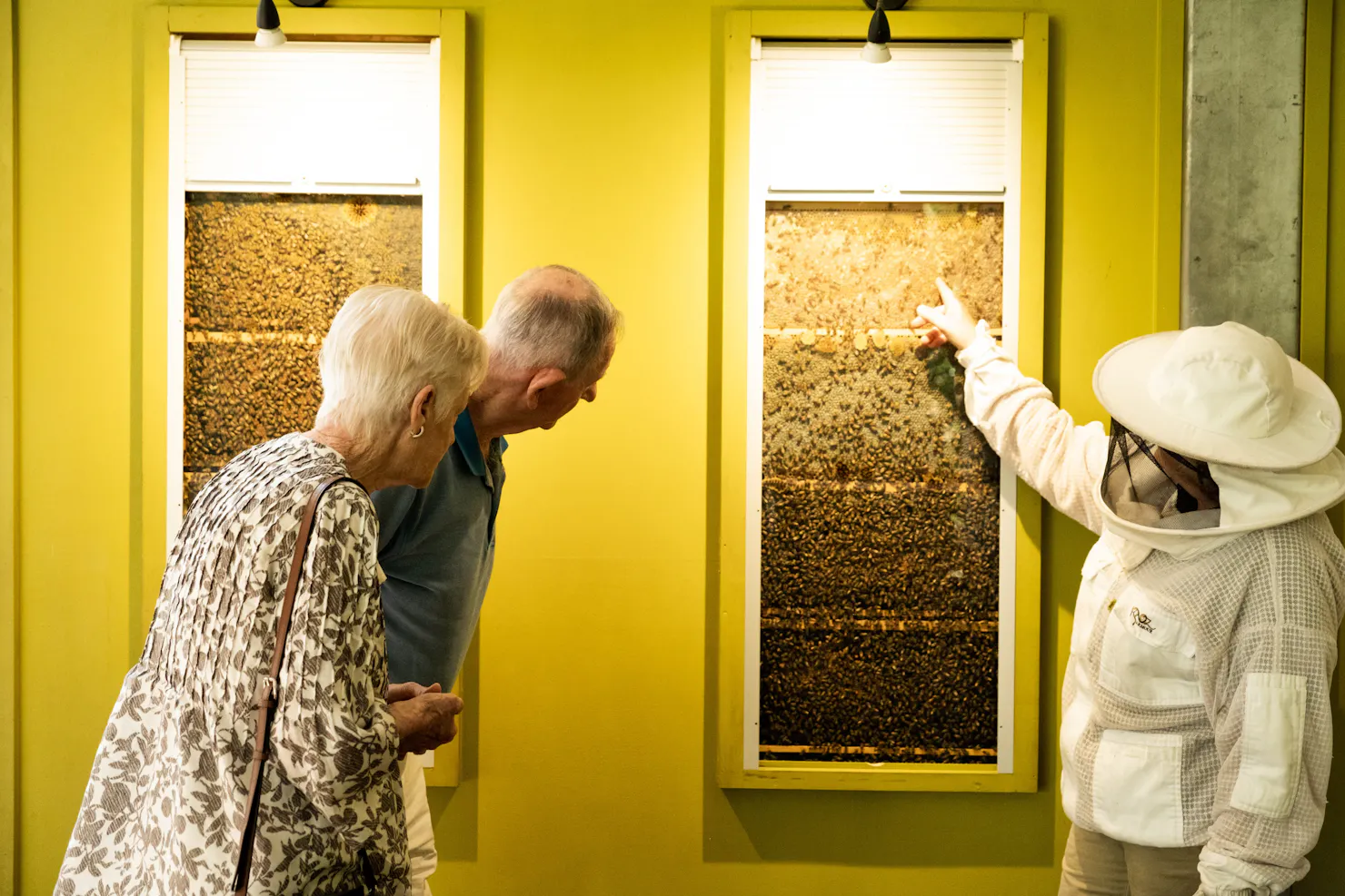 Beekeeper showing guests one of the wall hives