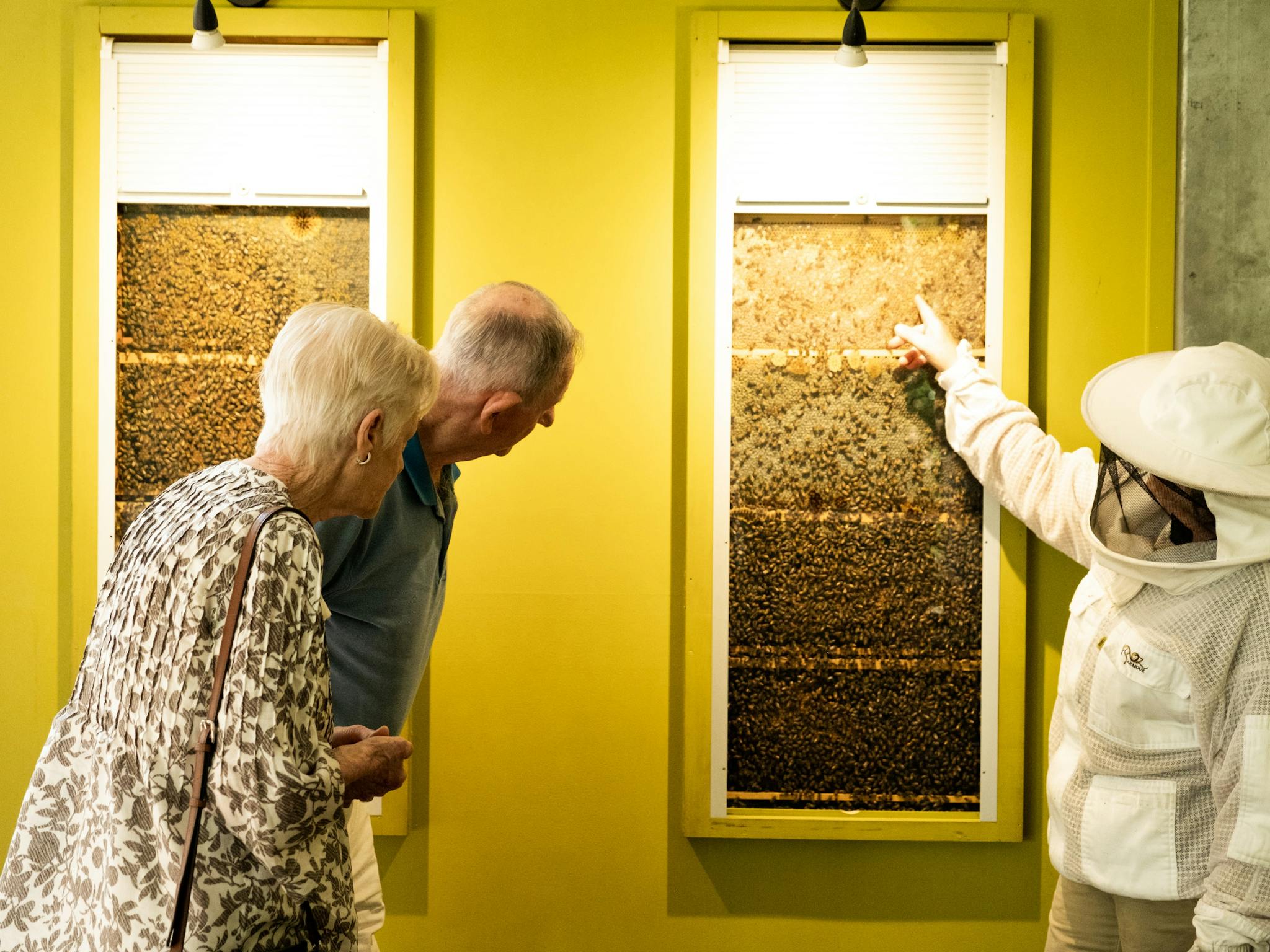 Beekeeper showing guests one of the wall hives Beekeeper showing guests one of the wall hives