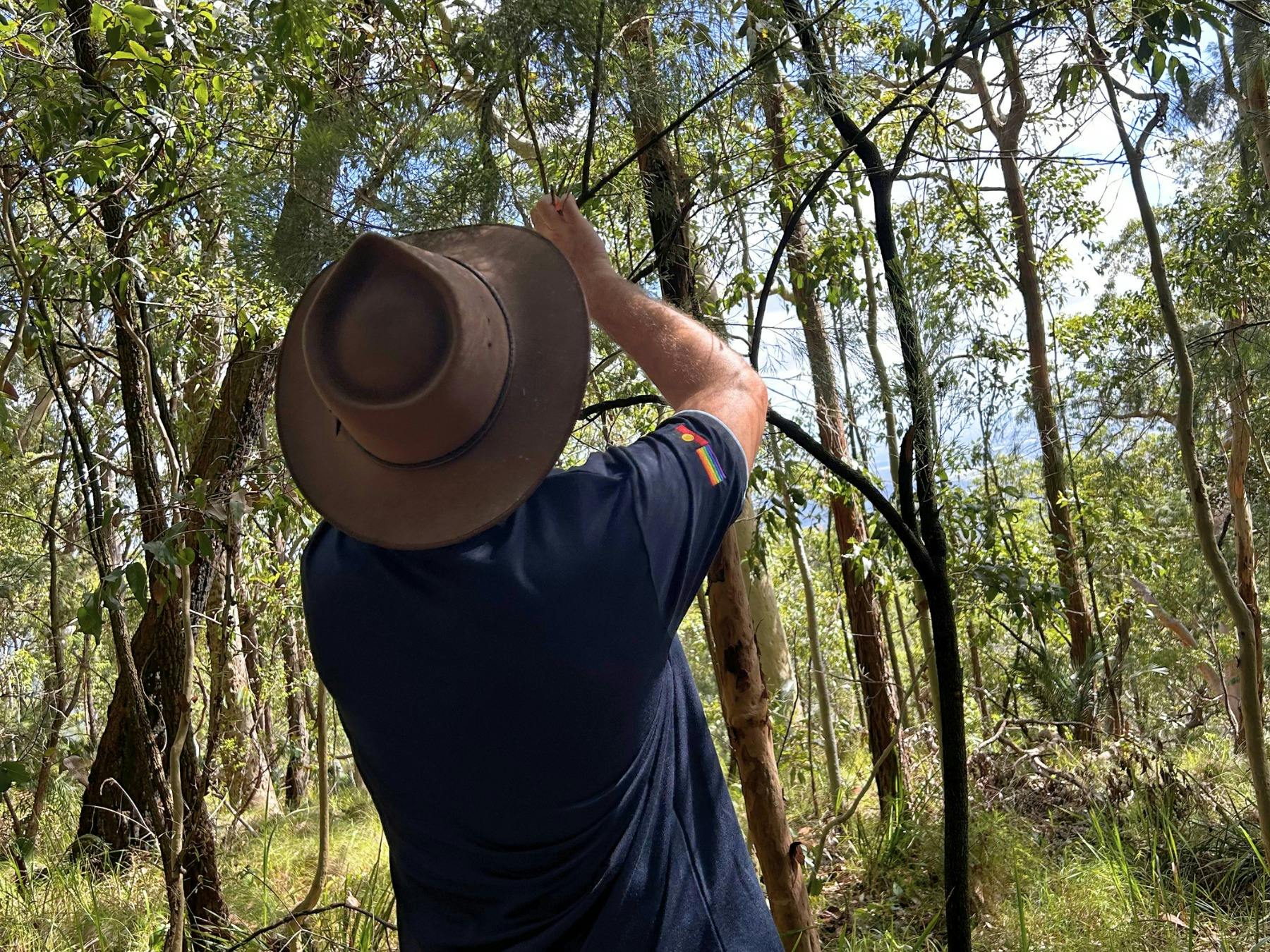 Connecting with Country through guided cultural experiences