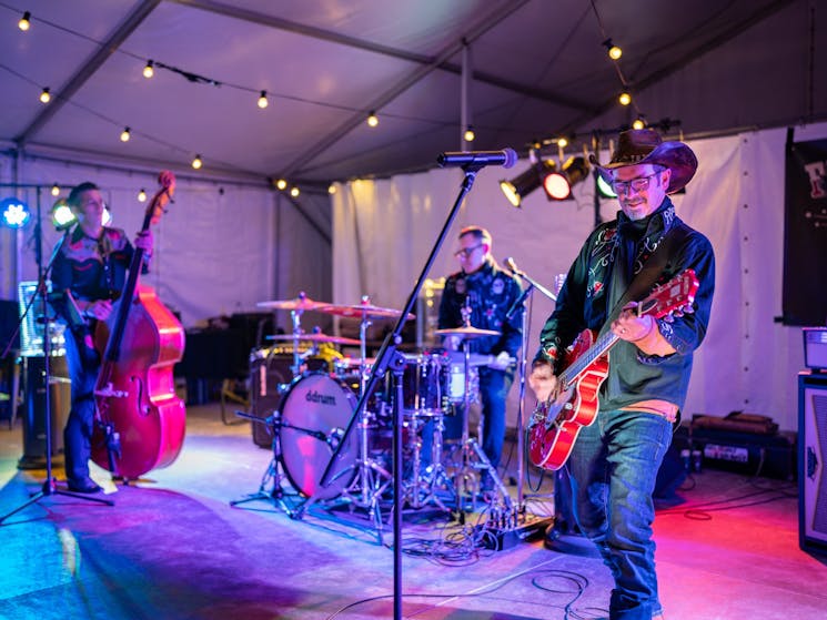 Band performing on stage under colourful lights at the Festival.