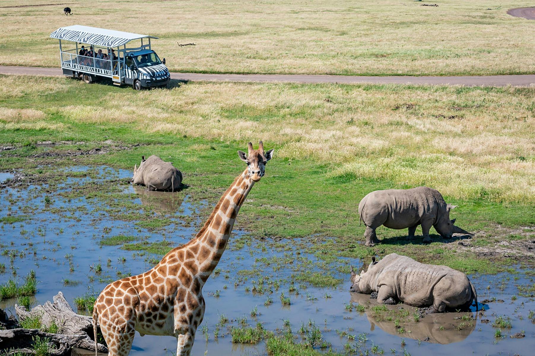 Werribee Open Range Zoo