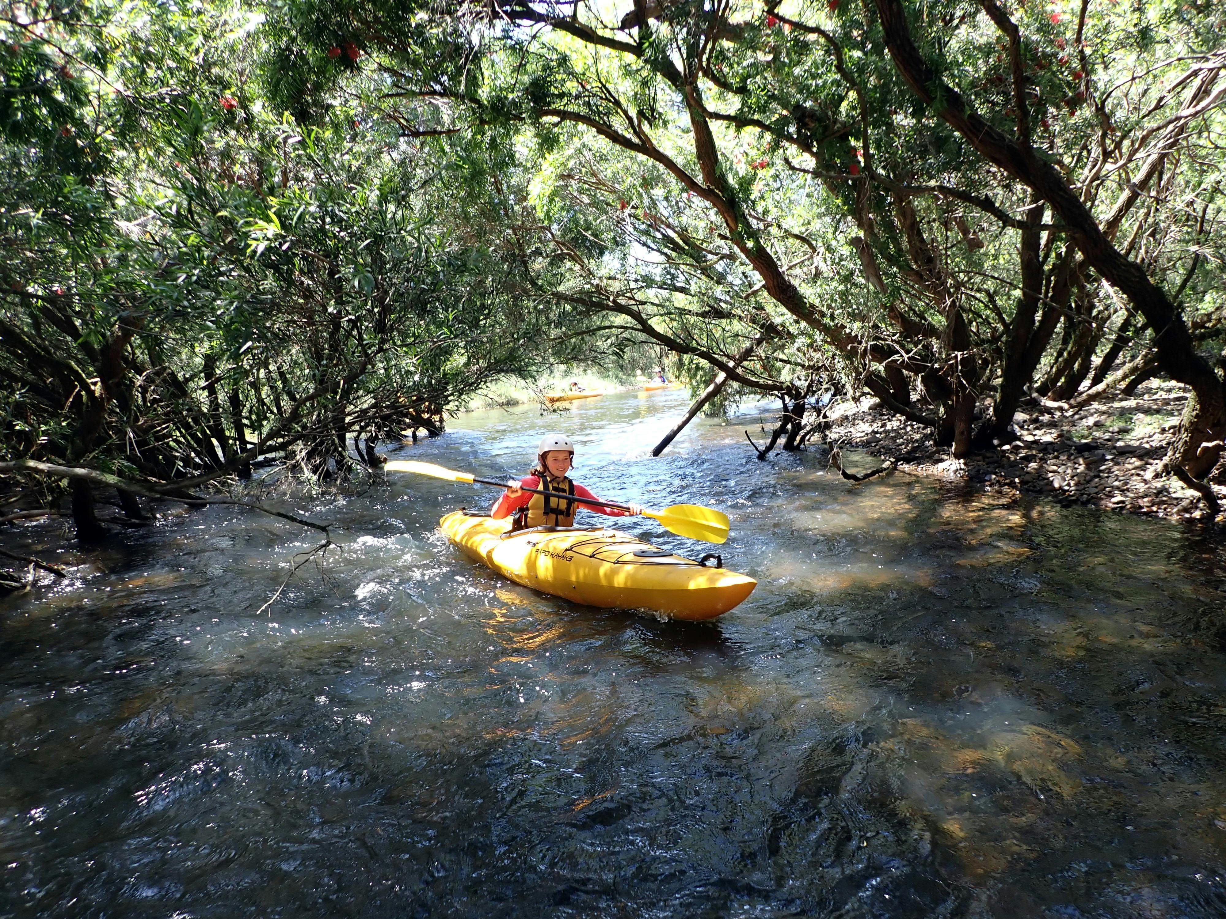 A Nymboida Kayaker is paddling under a canopy of tree 's hanging over the river.
